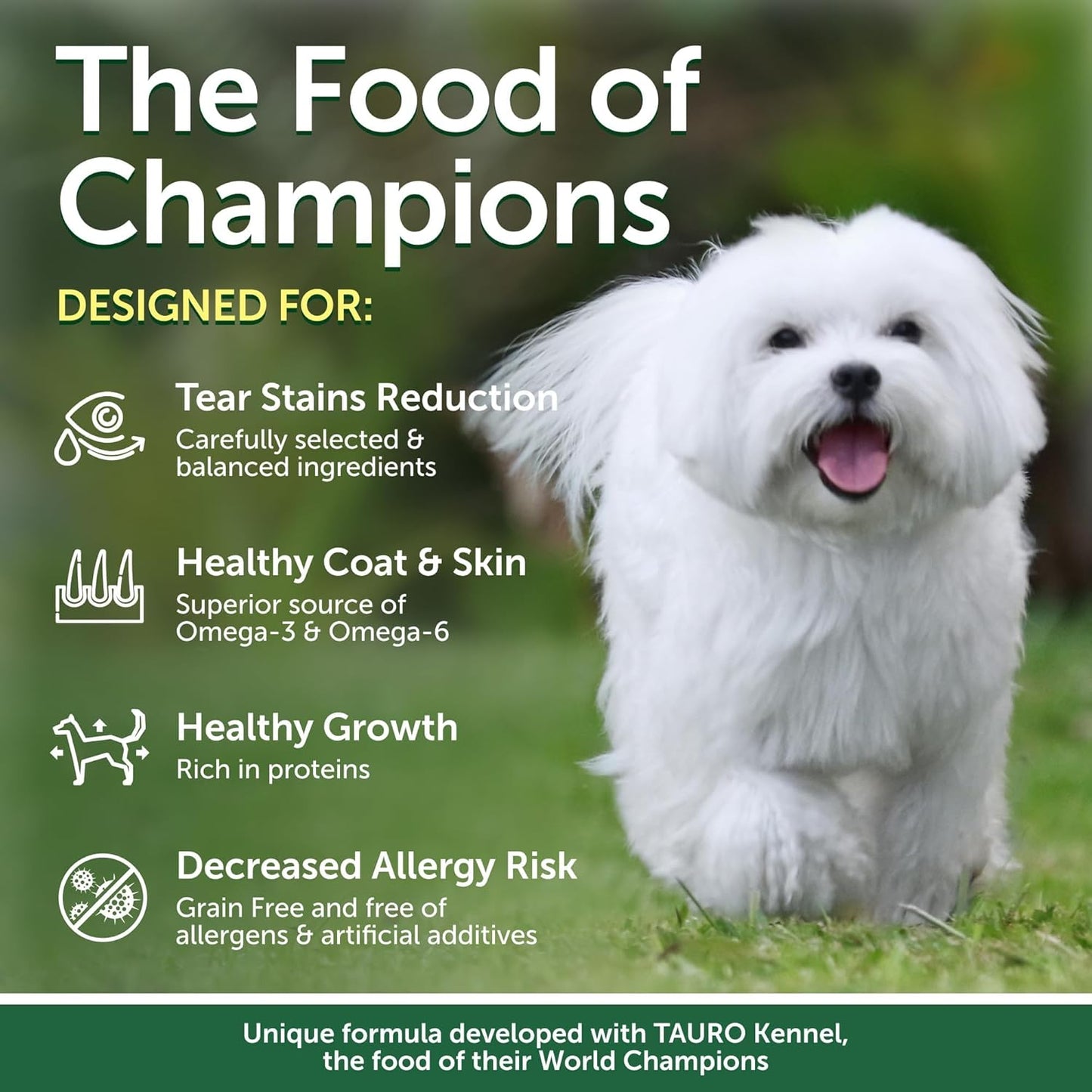 Nature's Protection Grain Free Dry Dog Food for Small Breed - High Protein Tear Stain Formula - Small Kibble for Adult Dogs with Light Fur (Superior Care - Herring, 22 lb)
