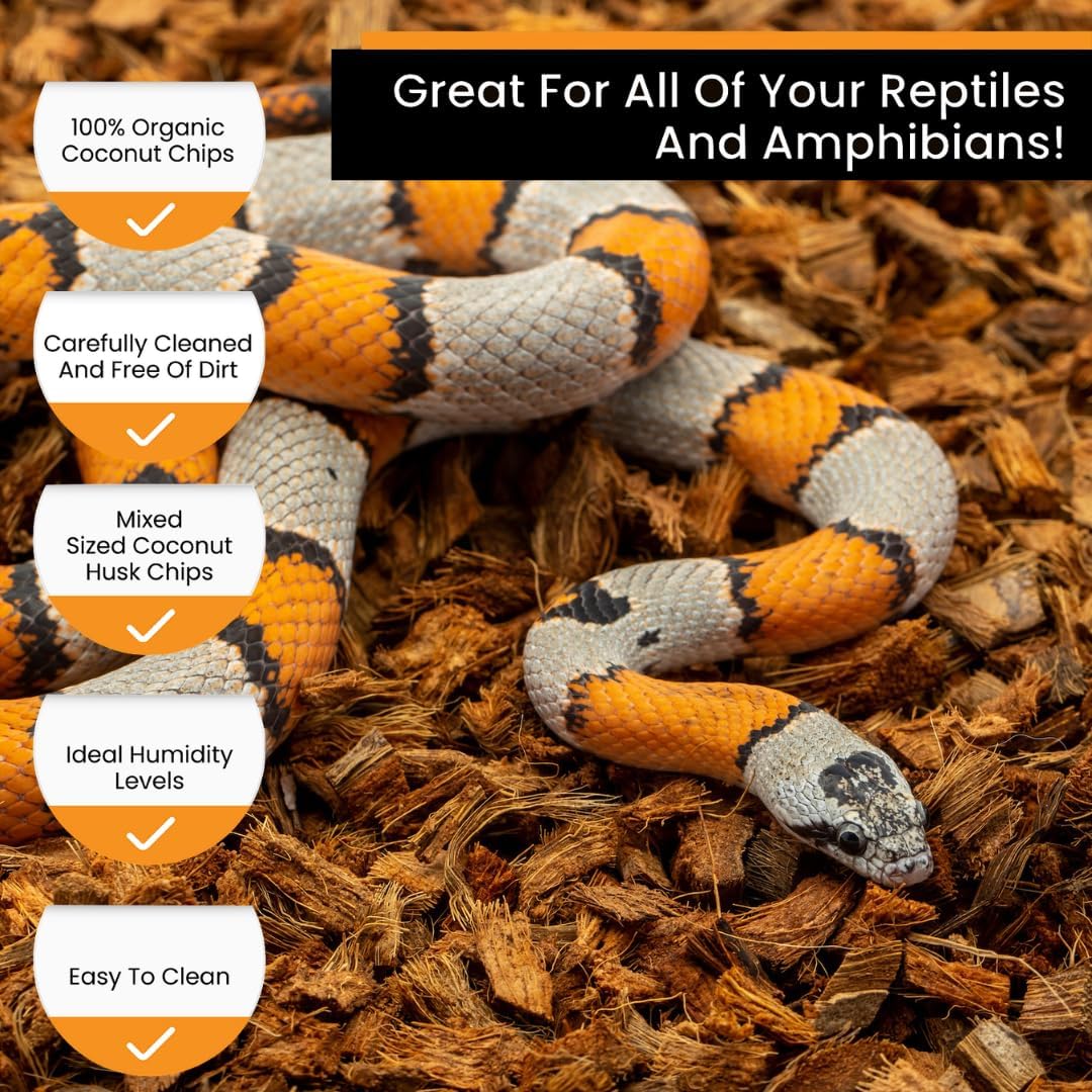 BabiChip Coconut Chip Substrate for Reptiles 12 Quart Loose Small Sized Coco Husk Chip Bedding for Ball Pythons, Other Snakes, Tortoises, Geckos, Frogs, or Lizard Terrarium Tanks