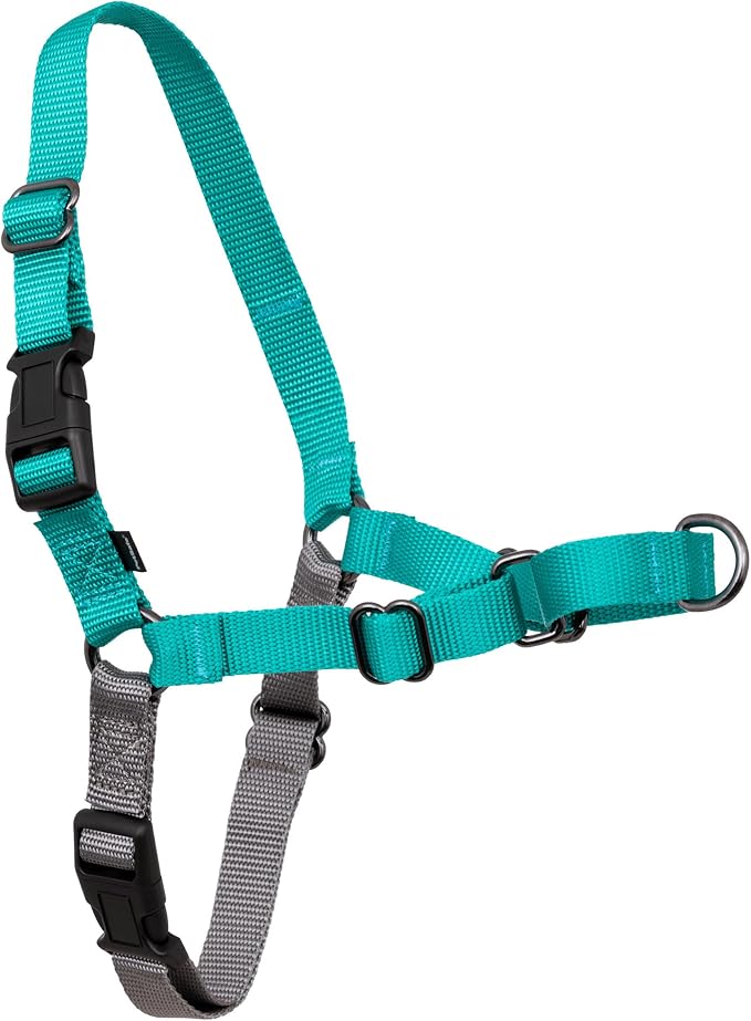 PetSafe Easy Walk Harness, No Pull Dog Harness, Small, Teal | Patented Martingale Loop Gives Gradual Shoulder Pressure to Stop Pulling, Front-Chest Leash Clip Prevents Gagging