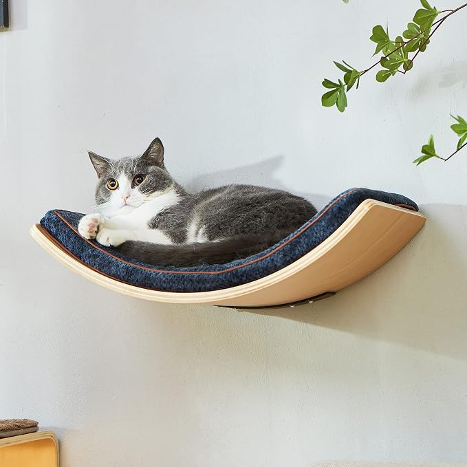LIORCE Cat Shelf with Comfortable Cushion - Curved Modern Cat Bed (Large Size) - Lotus Leaf Design Cats Wall Perch - Wall Mounted Cats Furniture for Sleeping, Playing, Climbing, and Lounging
