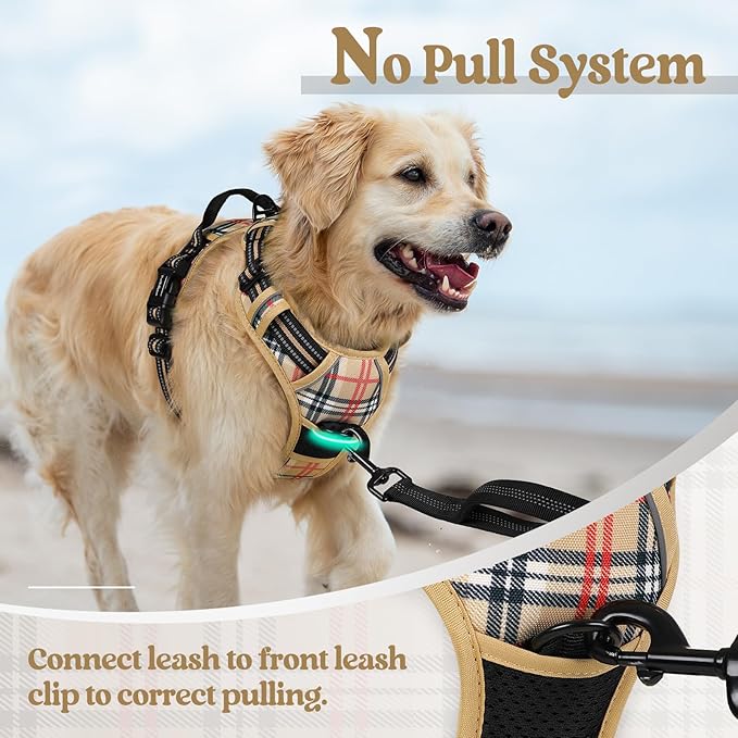 rabbitgoo Dog Harness, No Pull for Large Dogs with 2 Leash Clips, Pet Vest | No Choke with Handle, Adjustable Soft Padded, Reflective, Easy Control for Walking, Beige Plaid, Large