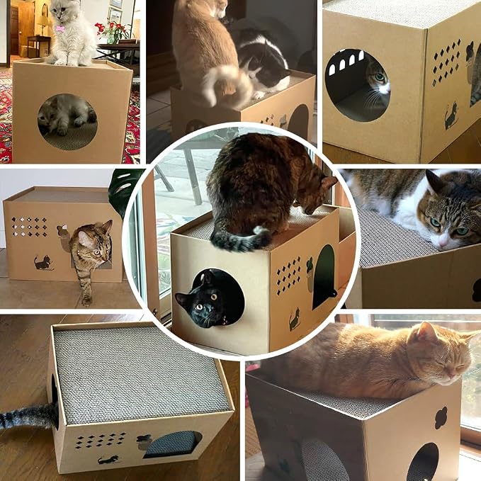 Cat Cardboard House with 2 PCS Scratching Pads，Large Cat Scratcher Bed Cat Scratchers Lounge for Indoor Cats with Corrugated Board Detachable Cat Scratcher Box for Cats(Cactus)