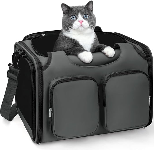Dog, Cat Carrier for Pets Up to 12 Lbs, Airline Approved Collapsible Soft-Sided Pet Travel Bag with Locking Zippers, Breathable Mesh and 4 Large Pockets, Removable Fleece Pad (Dark Grey)