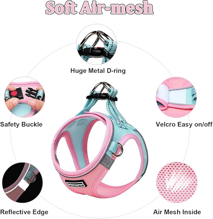Mercano Soft Mesh Dog Harness and Leash Set, No-Chock Step-in Reflective Breathable Lightweight Easy Walk Vest Harnesses with Safety Buckle for Small Dogs, Cats (M, Pink Blue)