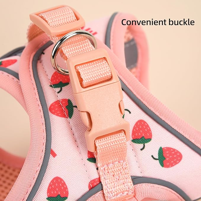 Step in Dog Harness and Leash Set, Flower Adjustable Easy Walk Puppy Harnesses, Soft Mesh No Pull Pet Vest Harness for Small Dogs and Cats(Strawberry, XXS)