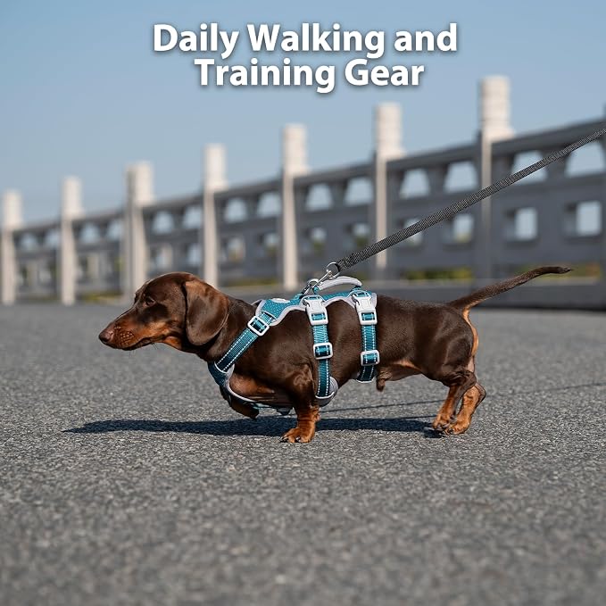 No Escape Dog Harness, Escape Proof Harness, Fully Reflective Harness with Padded Handle, Breathable, Durable, Adjustable Vest for Medium Dogs Walking, Training, and Running Gear (Teal,M)