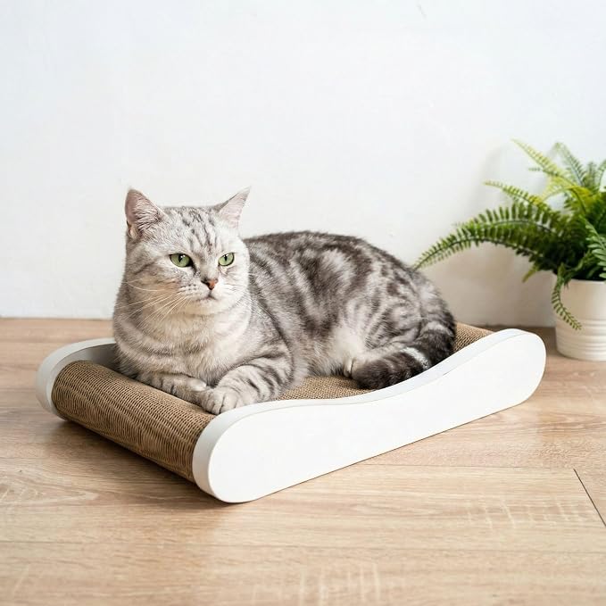 Claw Surfer Cat Bed - Cat Scratcher Bed & Lounge – Heavy Duty High-Density Cardboard, Lasts 5X Longer. Modern Curved Scratching Pad with 20mm White Frame. Non-Toxic, No Mess, White
