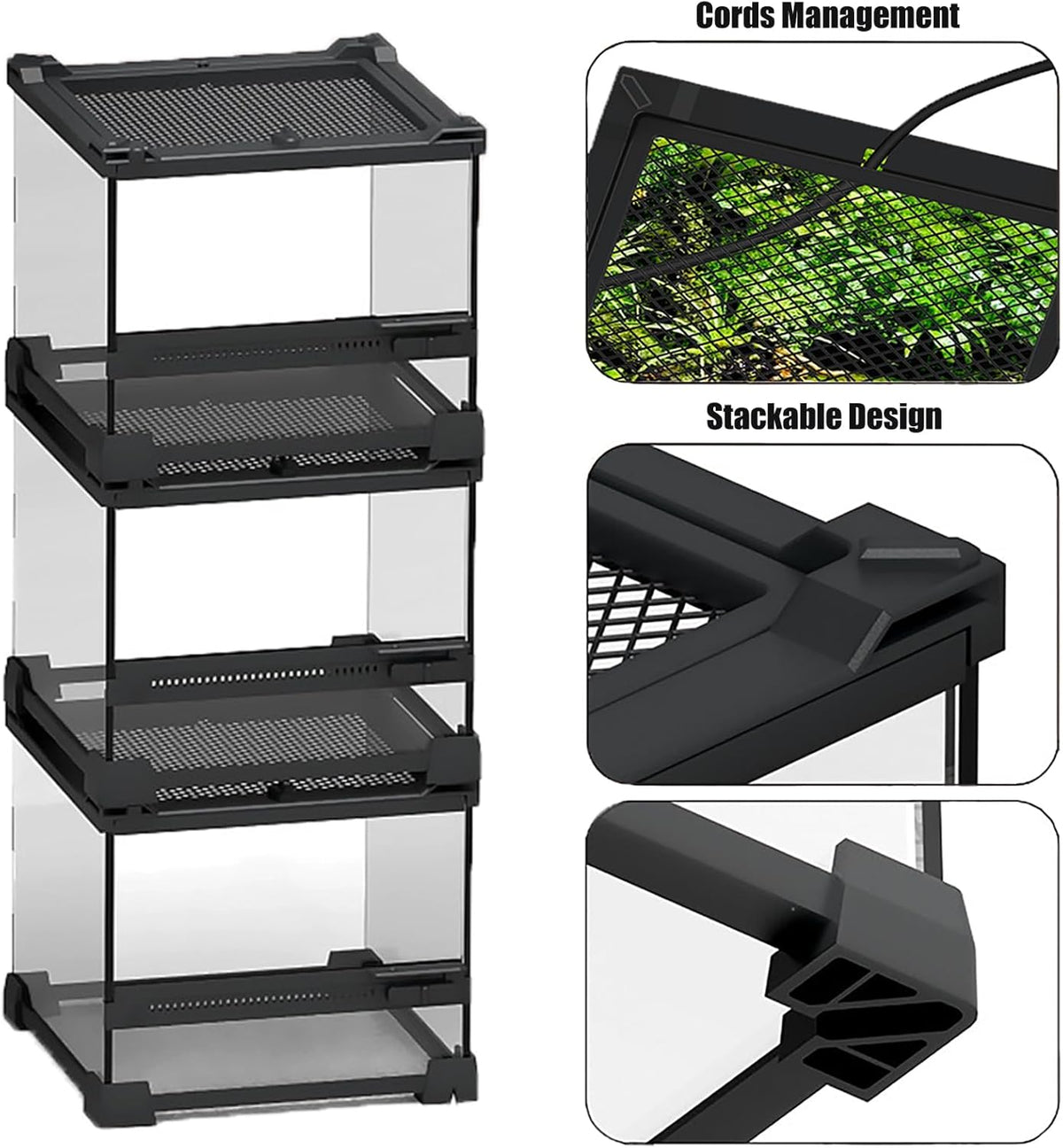Woyrise Reptile Glass Terrarium Tank 8"x8"x5.7", Front & Top Opening Door Full View Visually Appealing Mini Reptiles or Amphibians Habitat, Stackable Enclousure for Small Reptiles