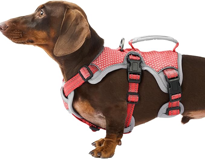 Escape Proof Dog Harness, Dachshund Harness, Reflective Dog Harness with Handle, Durable,Adjustable Vest for Small Medium Large Dogs Walking, Training, and Running Gear (Red,S)