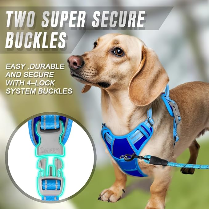BARKBAY Dog Harness No Pull for Small Sized Dog Front Back Clips,Dog Vest | Soft Padded No Choke With Handle,Easy On&Off,Adjustable Reflective For Walking Training Running(Sapphire Blue & Blue,S)