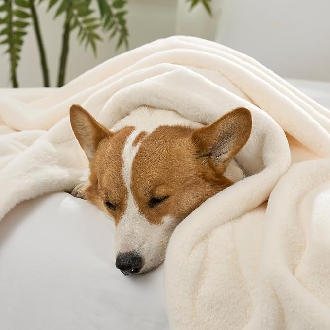 Luxury Faux Fur Throw Blanket for Couch, Ultra Soft Waterproof Pet Blanket, Cozy Warm Plush Blanket for Sofa Bedroom Living Room, Liquid Pee Proof for Large Dog or Cat, 50x60 inch, Cream
