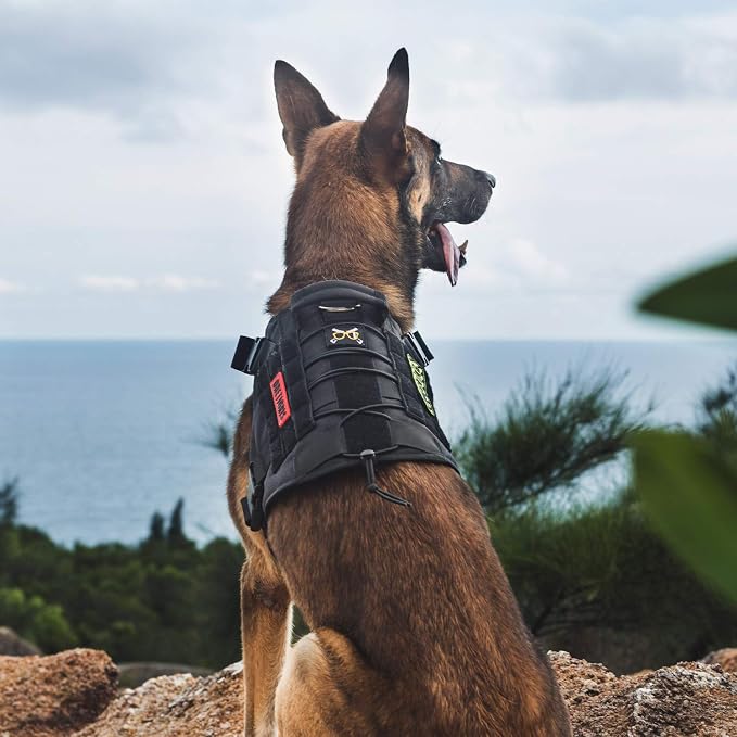 OneTigris Tactical Dog Harness Vest with Handle, Dog Harness for Large Medium Dogs,No-Pull Service Dog Vest with Hook & Loop Panels,Adjustable Dog Vest Harness for Walking(Black,Small) | No-Pull Service Dog Vest with Hook & Loop Panels, Adjustable Dog ...