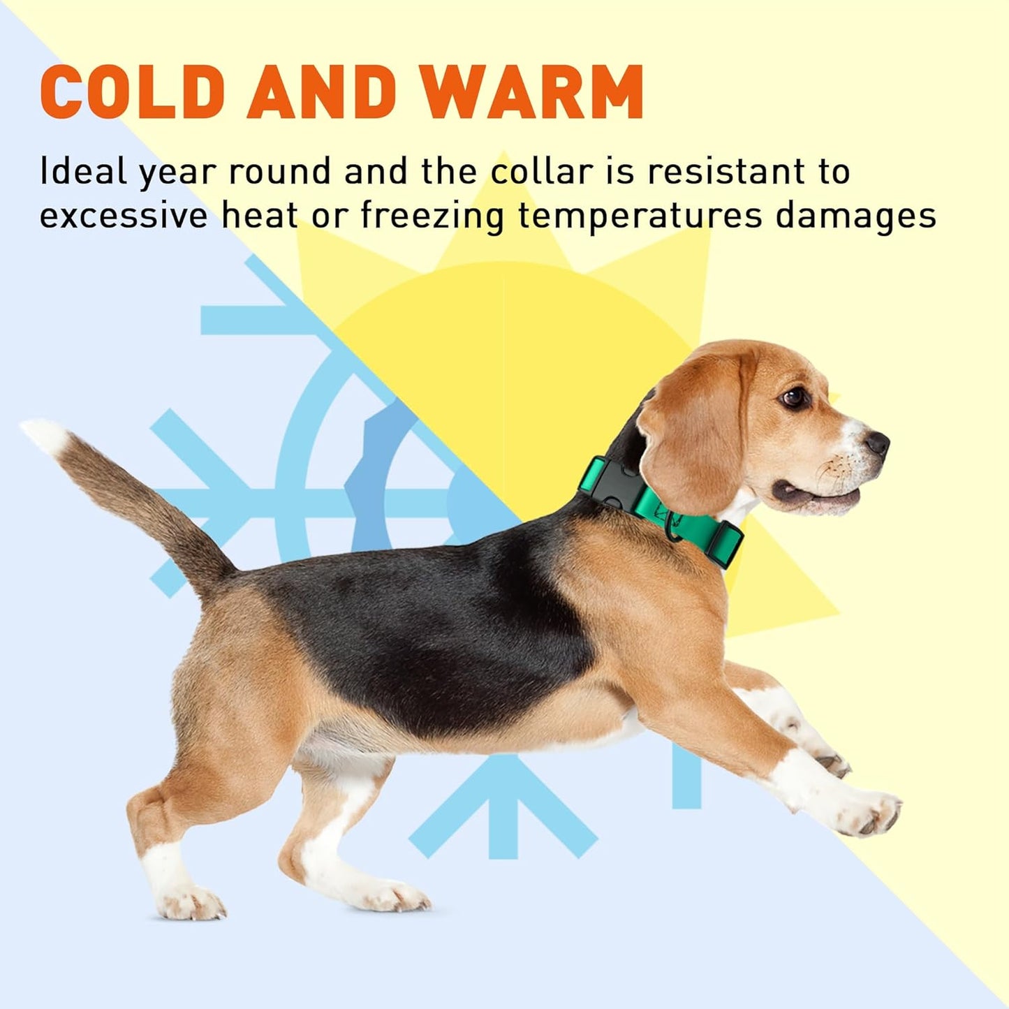 Dogline Biothane Waterproof Dog Collar with Quick Release Buckle Strong Coated Nylon Webbing with Odor- Proof for Easy Care Easy to Clean Fits Small Medium or Large Dogs, Teal 3/4" W 12-19" L