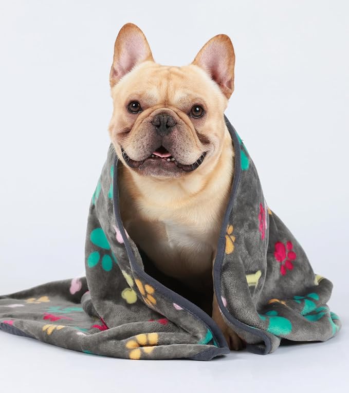 Luciphia 1 Pack 3 Blankets Fluffy Premium Fleece Pet Blanket Flannel Paw Bone Printed Throw for Dog Cat(Medium 30"x20", Grey)