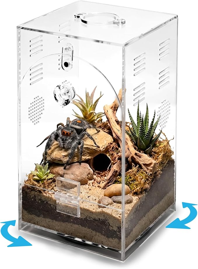 Acrylic Jumping Spiders Enclosure 360 Rotating 4.3" x 4.3" x 7.5" Praying Mantis Habitat