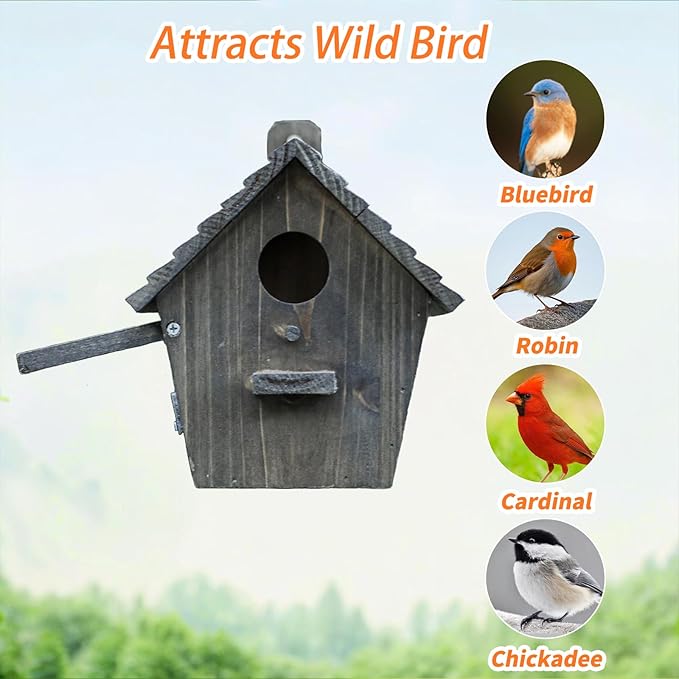 Bird House Black Birdhouse Bird Houses for Outside with Pole Wooden Bird House for Finch Bluebird House Cardinals Hanging Birdhouse Clearance Garden Country Cottages B8-2