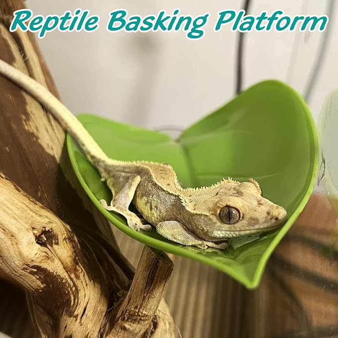 6 Pack Plastic Frog Habitat Platform with Suction Cups Reptile Decorations for Terrarium Dwarf Frogs Tank Accessories Decor Turtle Basking Platforms for Amphibian (Green)