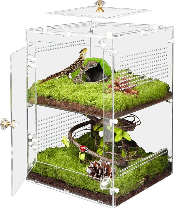 Large Jumping Spider Enclosure, 2 in 1 Ventilated Reptile Terrarium for Praying Mantis,Arboreal Tarantula,Crested Gecko, 12"*8"*8" Acrylic Habitat with Removable Divider,Front Opening & Top Lid