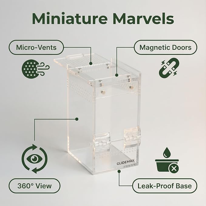 Jumping Spider Enclosure - 3x3x6 Acrylic Tarantula Enclosure Reptile Habitat with Front & Top Magnetic Doors, 0.04" Ventilation Holes Pre-Assembled Terrarium for Spiders, Mantis, Snails, Lizards