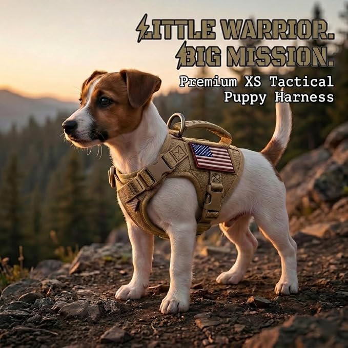 Tactical Dog Harness for Small Dogs, XS Puppy Harness with Handle, No Pull Adjustable Military Vest, Soft Chest Support Pad, D-Ring, Molle Loop Panels, 2 Patches, Khaki