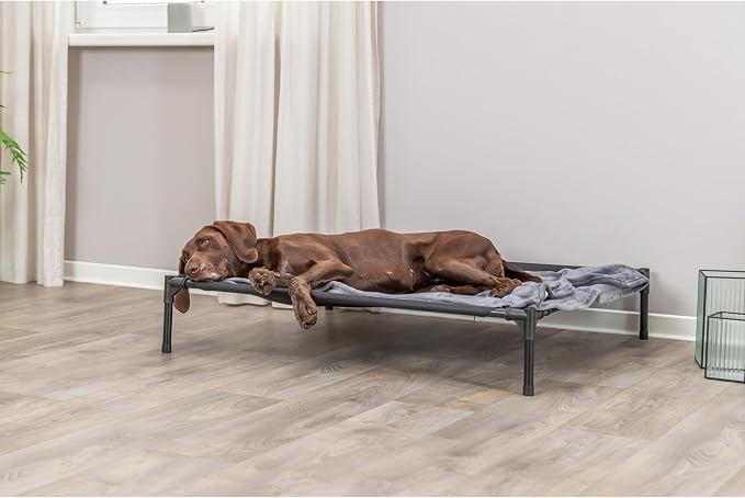 Trixie 2-in-1 Dog House and Bed, Medium to Large - Up to 100 lbs | 39.4 x 35.4 x 48.8-in Portable, Elevated Indoor/Outdoor Cot with Removable Cover, Waterproof and Sun-Resistant Tent