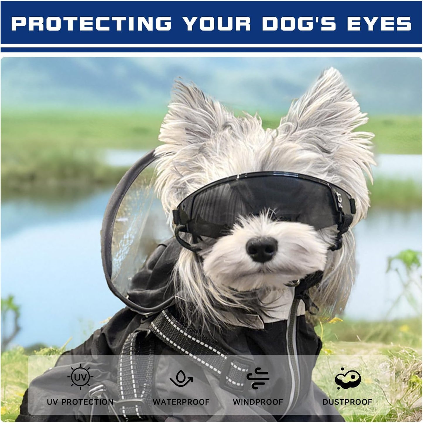 Dog Goggles for Small to Medium Breed, Dog Sunglasses UV Protection, Windproof & Anti-Fog, Puppy Sunglasses with Padded Frame and Adjustable Straps for Outdoor Riding, Driving（Black）