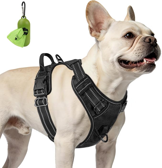 Joytale No Pull Dog Harness for Small Dogs, Front Clip, Black | Grab Handle for Instant Control, Padded & Adjustable Vest, Sturdy Metal D-Rings, for Safe Training & Daily Walking