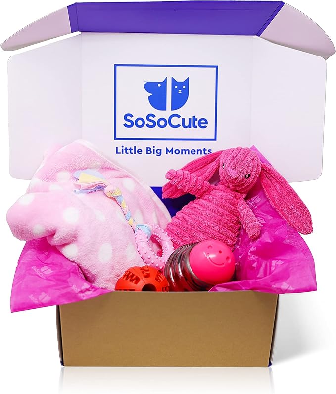 SoSoCute Pink Dog Gift Box - Puppy Chew Toy Set of 5 - Care Package with Dog Blanket, Squeaky Plush, Rubber Puppy Teether, Teething Ball, and Treat Ball for Small and Medium Dogs