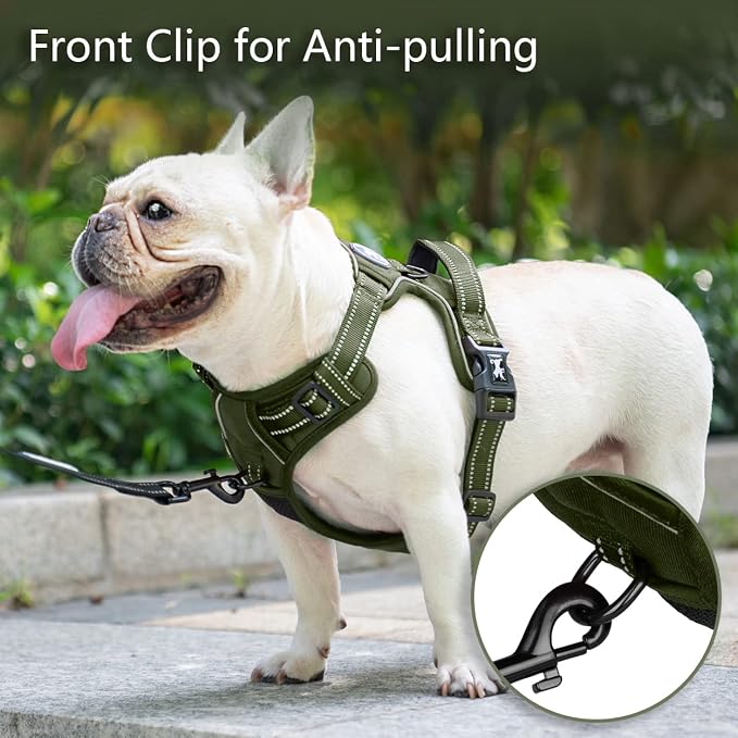 PoyPet No Pull Dog Harness, Reflective Vest with 2 Leash Clips & Handle | Lockable Neck Release Buckle, No Choke, Adjustable, Soft Padded, for Walking Training, Military Green, X-Small