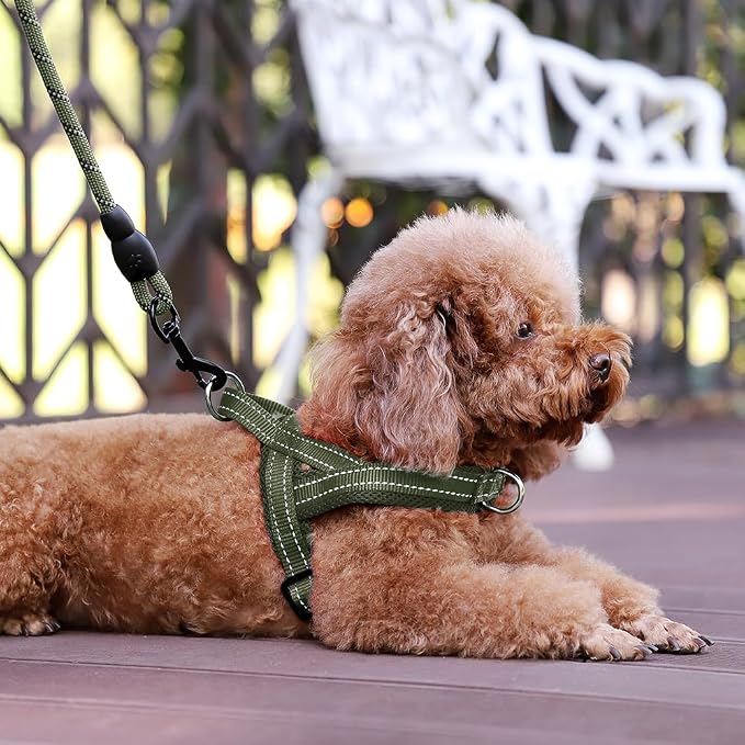 Plutus Pet No Pull Dog Harness for Large Dogs, Breathable Mesh Padded | Adjustable Reflective with Handle, Escape Proof, Quick Fit Pet Vest, Front Clip, for Training and Walking, Ranger Green, XL