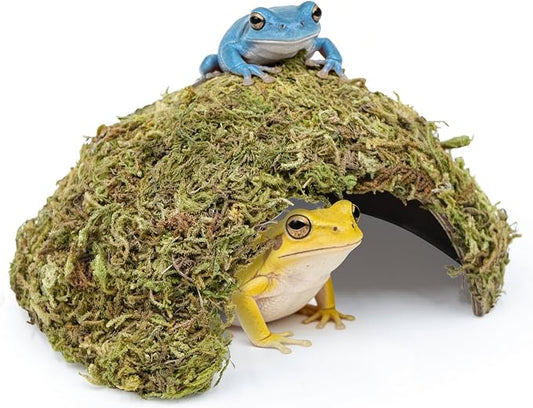 Natural Moss Frogs Hideout - Green Mossy Cave for Reptile, Geckos, and Hermit Crabs - Humid Habitat Decor for Amphibians and Small Reptiles - Eco-Friendly Terrarium Shelter