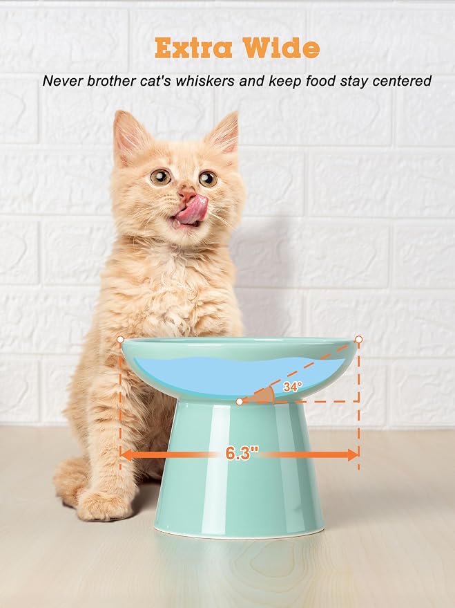 LoeJan Elevated Cat Food and Water Bowls Set, Extra Wide and Raised Ceramic Feeder, Anti-Vomit Whisker-Free Pressure Feeding Bowl for Kittens Adult Small Dogs (Blue, Food Bowl)