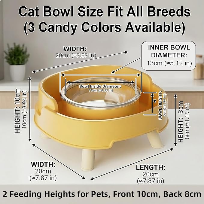 Ant Not Cross Elevated Cat Bowls Mess Proof-2 Food Grade Glass Bowls & 1 Lids- No Spill Cat Food and Water Feeding Station for Cats&Puppy Indoor & Outdoor,No Whisker Fatigue Dish,Green