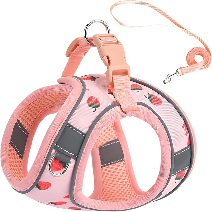 Step in Dog Harness and Leash Set, Flower Adjustable Easy Walk Puppy Harnesses, Soft Mesh No Pull Pet Vest Harness for Small Dogs and Cats(Strawberry, XS)