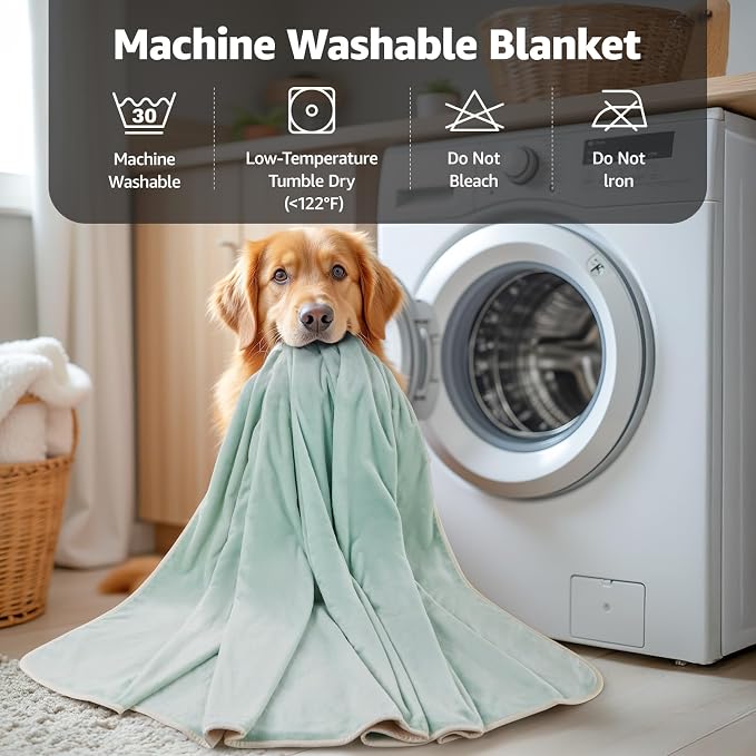 LOOBANI Waterproof Blanket for Queen Bed, Reversible Soft Flannel, 80"x90" | Waterproof Dog Blankets for Large Dogs, Spill-Proof Couch Cover for Family Movie Nights, Camping, Travel, Noise Free, Green