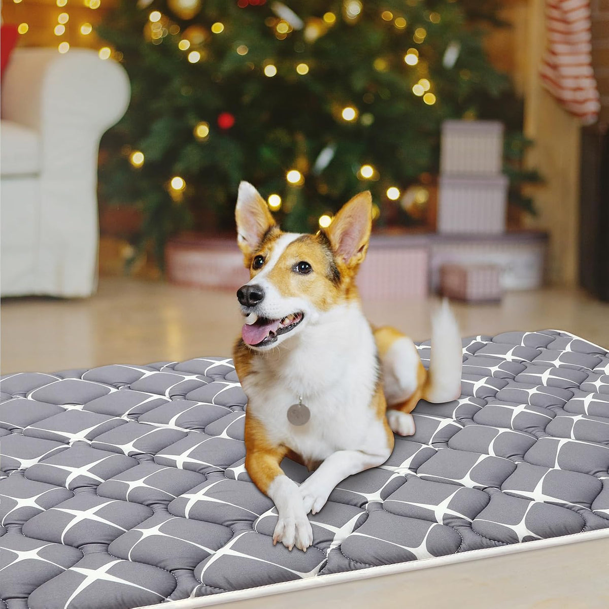 Bubble bear Dog Crate Mat - Ultra Soft, Washable & Anti-Slip Kennel Pad for Small/Medium/Large Dogs, Dark-Hued to Hide Stains (36"x23")