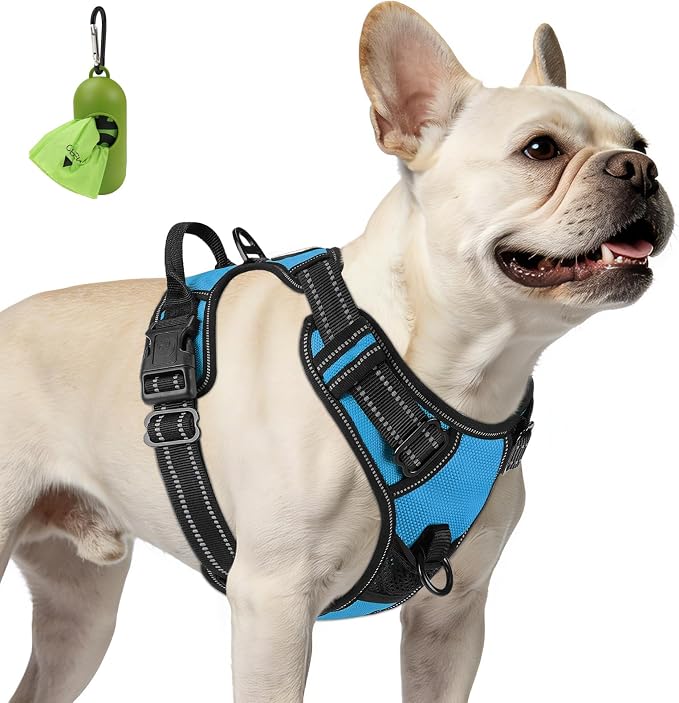 Joytale No Pull Dog Harness for Small Dogs, Front Clip, Sky Blue | Grab Handle for Instant Control, Padded & Adjustable Vest, Sturdy Metal D-Rings, for Safe Training & Daily Walking