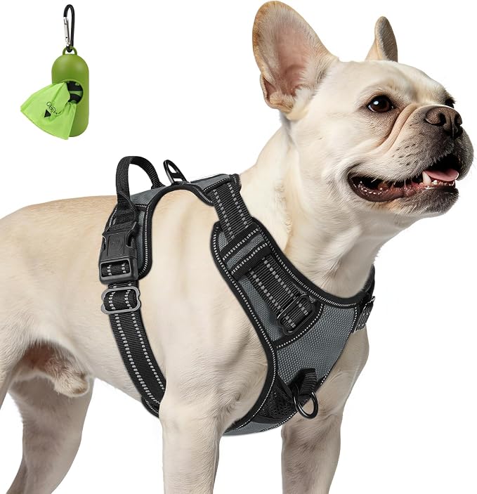 Joytale No Pull Dog Harness for Small Dogs, Front Clip, Gray | Grab Handle for Instant Control, Padded & Adjustable Vest, Sturdy Metal D-Rings, for Safe Training & Daily Walking