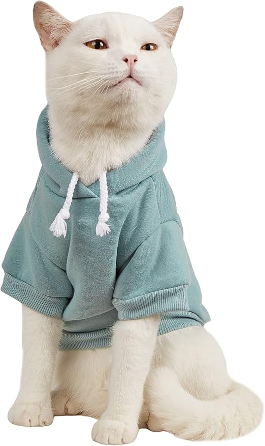 QWINEE Basic Dog Hoodie Sweatshirt Puppy Sweater Warm Cat Costumes Pet Clothes for Chihuahua Puppy Kitten Small Medium Dogs Cadet Blue Small