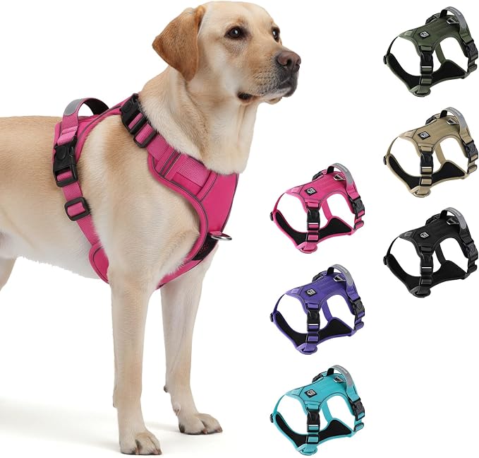 Heavy Duty Tactical Dog Harness for Medium Dogs, No Pull Dog Harness with Handle & Front Clip, Reflective Soft Padded, Hook and Loop Panel, Dog Vest for Walking, Service Training, Hotpink