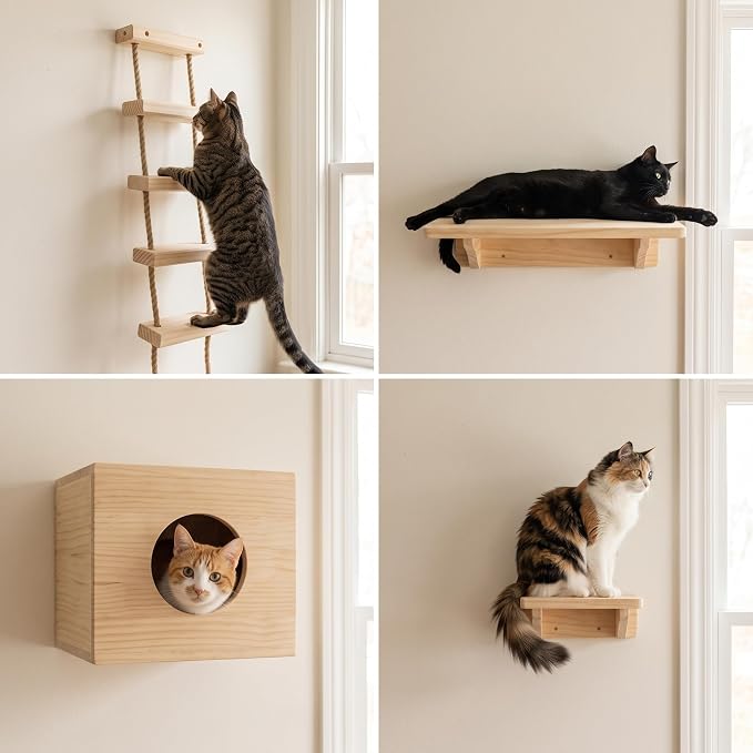 with Shelves for Climbing and Play, Cat House
