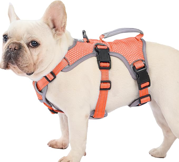 Escape Proof Dog Harness, Dachshund Harness, Reflective Dog Harness with Handle, Durable,Adjustable Vest for Small Medium Large Dogs Walking, Training, and Running Gear (Orange,M)
