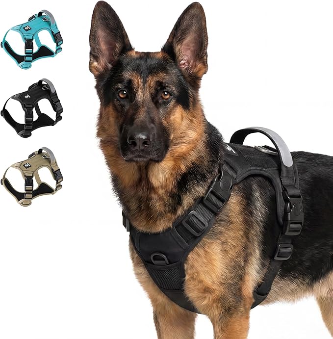 Tactical Dog Harness for Medium Dogs, Reflective No Pull Vest with Handle | 3 Point Locking Buckles, Dual Leash Clips, Handle, Reflective Strips, Hook & Loop Panel, Metal D Ring, Adjustable (Black)