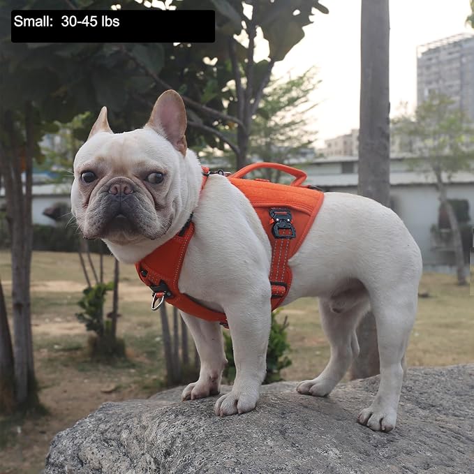 ICEFANG Quick-Moving Tactical Dog Harness for Small Dogs,No Pull Dog Vest | Control Handle,Reflective,Full Metal Buckles,Adjustable,Hook-and-Loop Panel,Soft Padded,Orange,Small