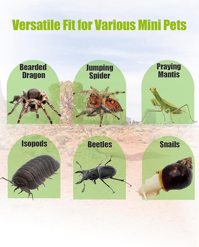 Jumping Spider Enclosure 6”x6”x10”, Transparent Arboreal Tarantula Habitat, Praying Mantis Terrarium Critter Cage for Jumping Spider, Tarantula, Mantis, Snail, Isopods, Beetles, Millipedes