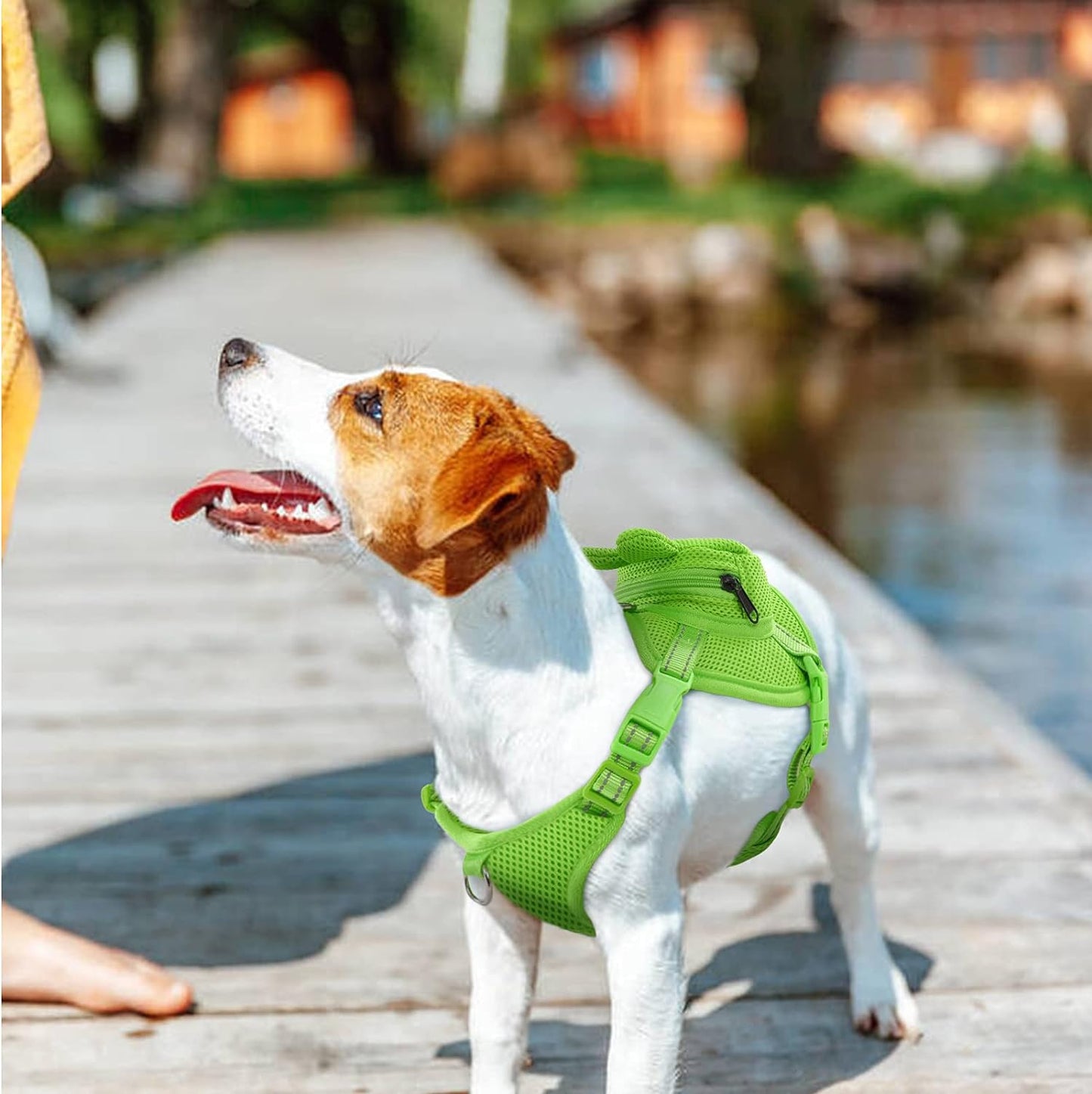IDOMIK Dog Backpack Harness, No-Pull Dog Backpack with D-Ring for Small Medium Dogs, Cute Self Carrier Backpack for Dogs to Wear, Adjustable Dog Harness Backpack for Traveling Camping Hiking, Frog, XS