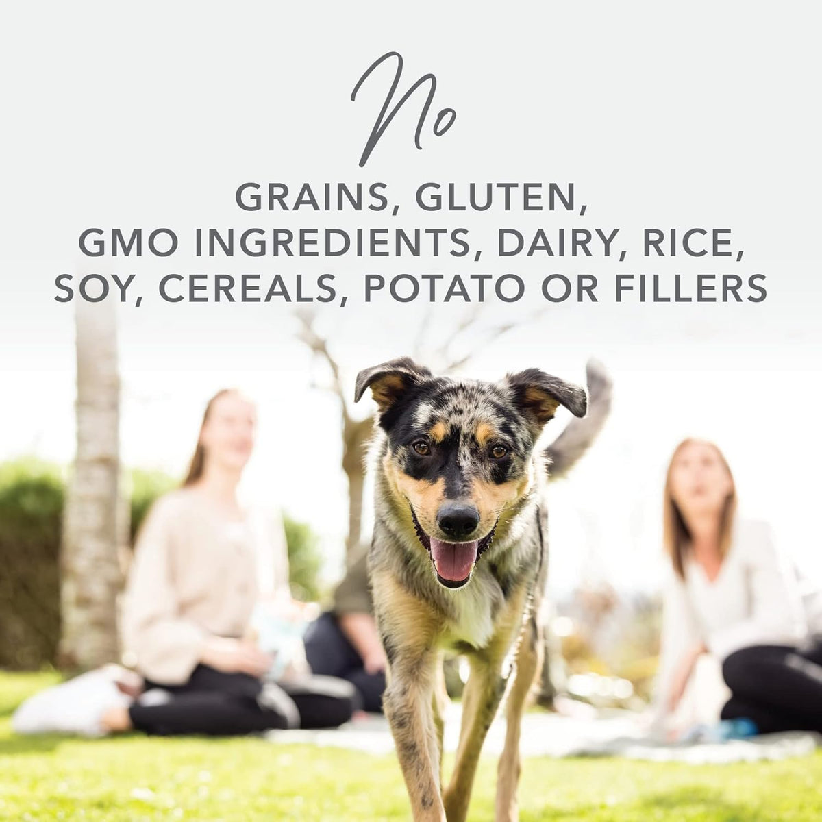 K9 Natural - Grain Free Freeze Dried Dog Food - Lamb, 1.1lb