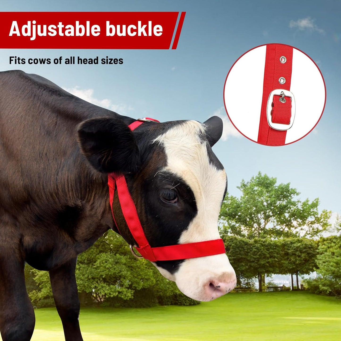 XUANNIAO Easily Adjustable Figure 8 Cow Halter, Double-Ply Premium Livestock Cattle Halters, Colorful Cow Utility Calf Halter with Leading Rope for Miniature Horse Donkey Goat Foal (Large, Red)