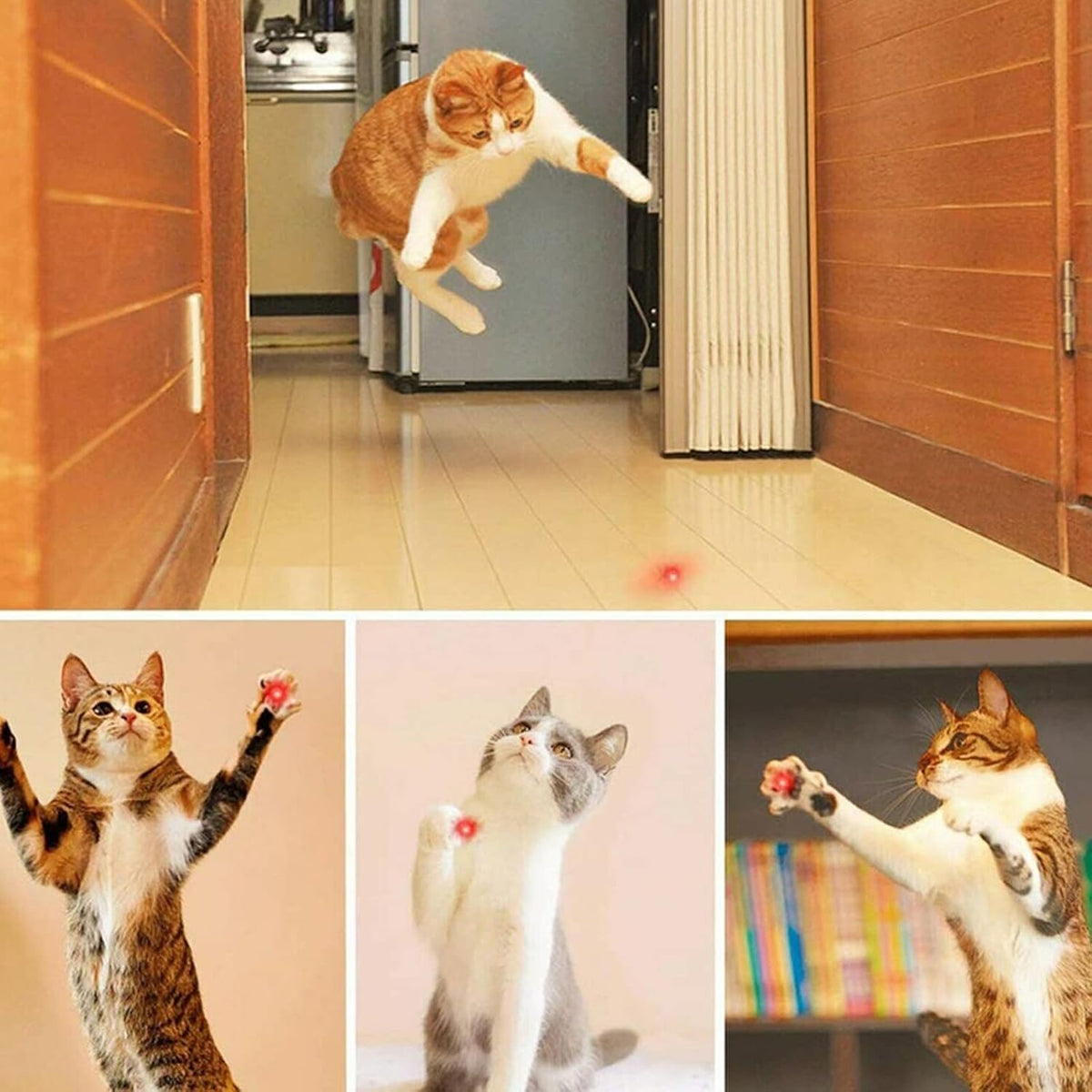 MEUSNO Red Laser Pointer Cat Toy, Red High Power Laser Pointer Long Range Strong Laser Light Pointer for Cats Dogs Toy Rechargeable Pointer Laser for Presentations Teaching Outdoor Cat Laser Toy