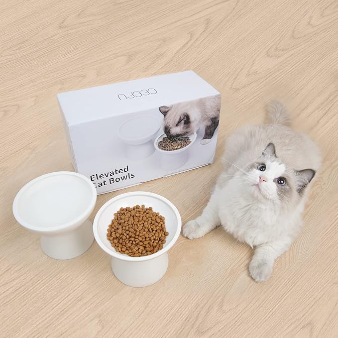 CEEFU 2 Elevated Ceramic Cat Bowls Extra Wide for Food & Water – Whisker Fatigue Shallow Food Dish, Lead & Cadmium-Free, Raised Height for Cats and Dogs, White